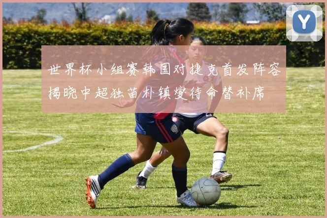 世界杯小组赛韩国对捷克首发阵容揭晓中超独苗朴镇燮待命替补席