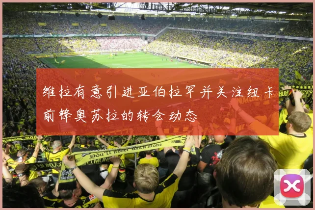 维拉有意引进亚伯拉罕并关注纽卡前锋奥苏拉的转会动态
