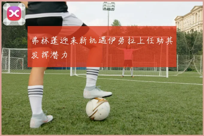 弗林蓬迎来新机遇伊劳拉上任助其发挥潜力